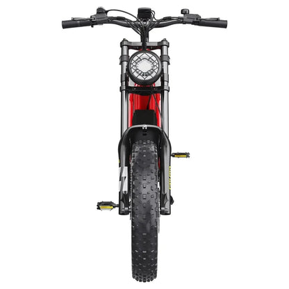 HIDOES B6 Electric Bike