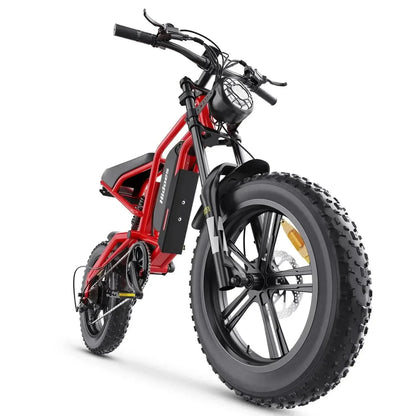 HIDOES B6 Electric Bike