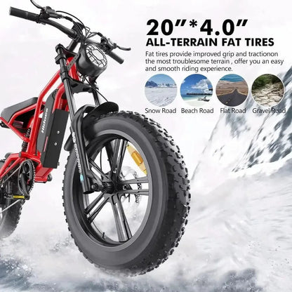 HIDOES B6 Electric Bike