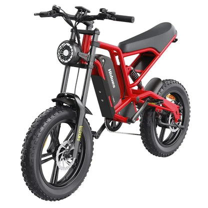 HIDOES B6 Electric Bike