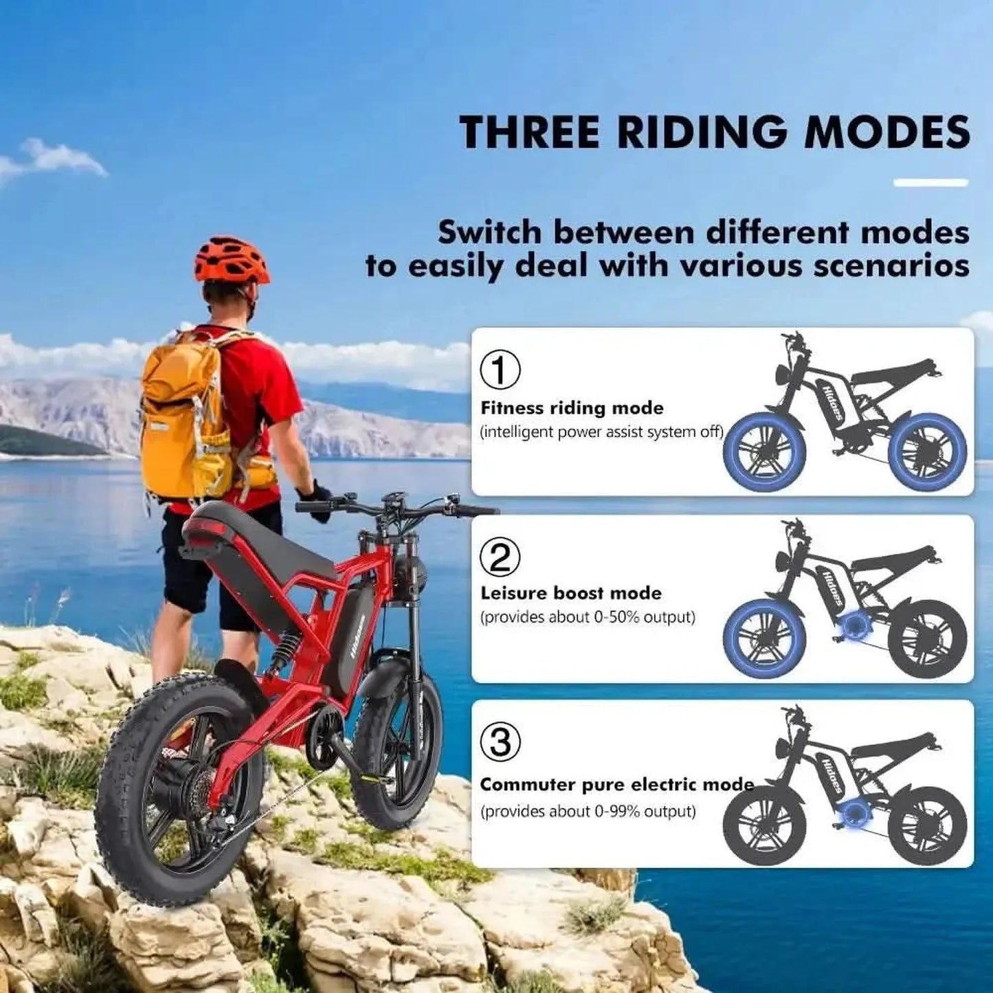 HIDOES B6 Electric Bike