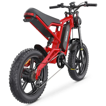 HIDOES B6 Electric Bike