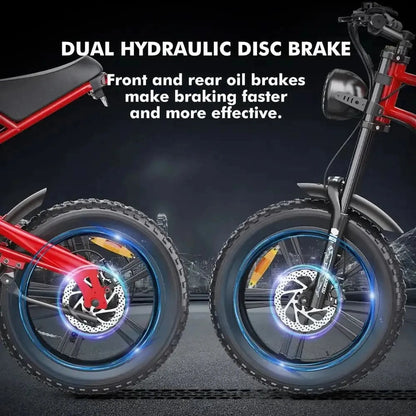 HIDOES B6 Electric Bike