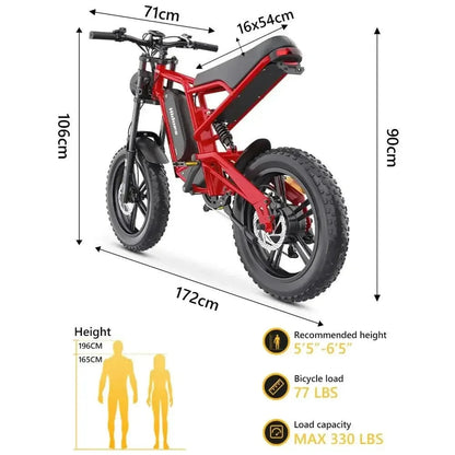 HIDOES B6 Electric Bike