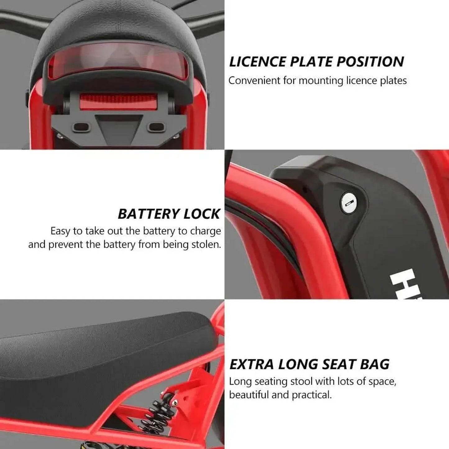 HIDOES B6 Electric Bike