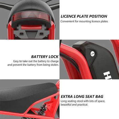 HIDOES B6 Electric Bike