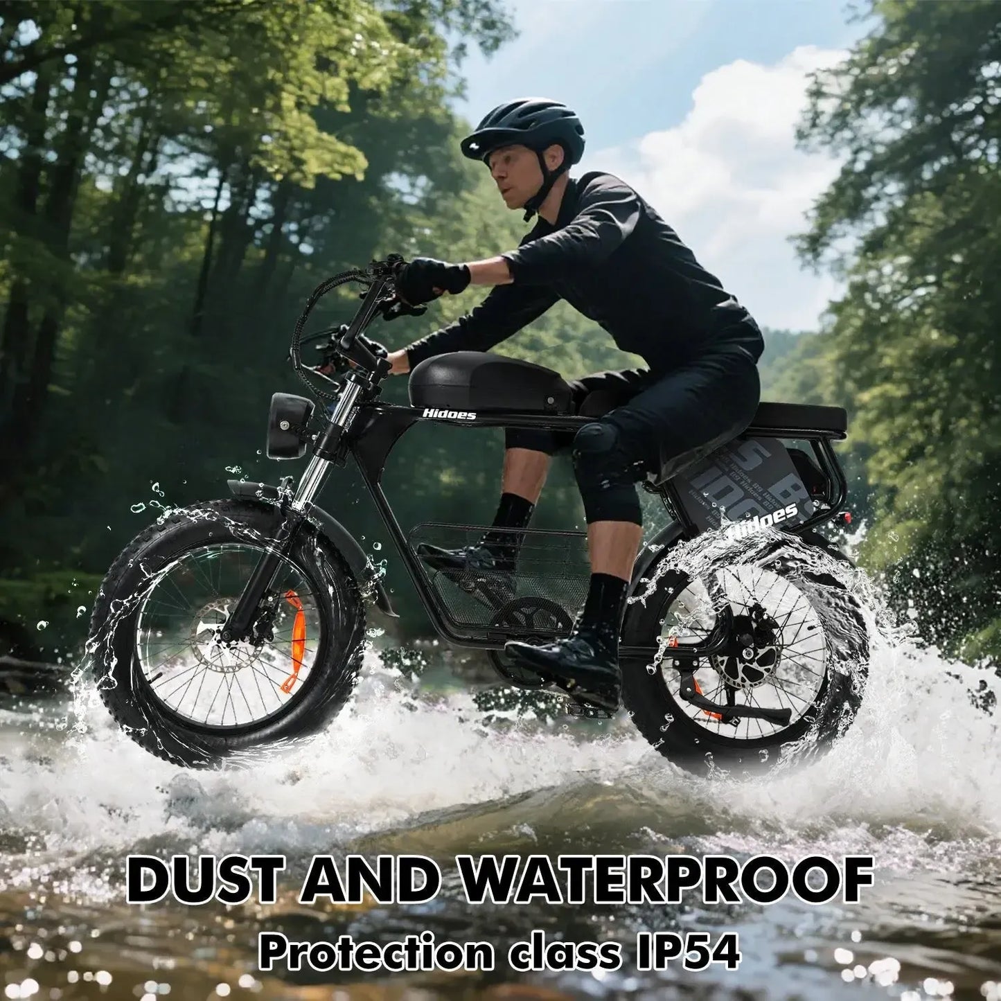 HIDOES B9 Fat Tire Electric Bike