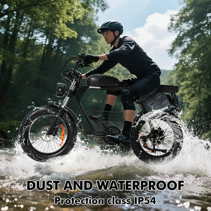 HIDOES B9 Fat Tire Electric Bike