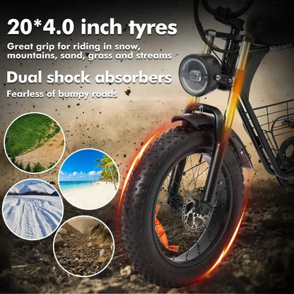 HIDOES B9 Fat Tire Electric Bike