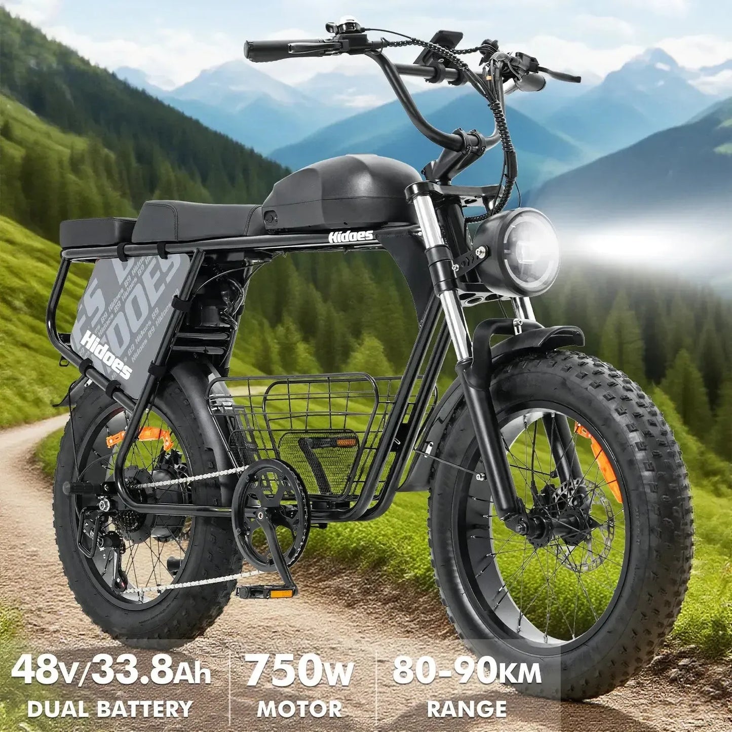 HIDOES B9 Fat Tire Electric Bike