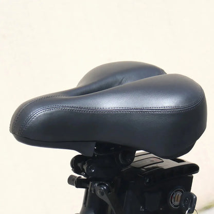 HIDOES C5 Folding Electric Bike