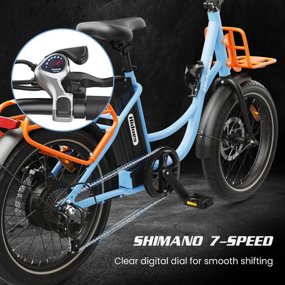HIDOES C6 Folding Electric Bike