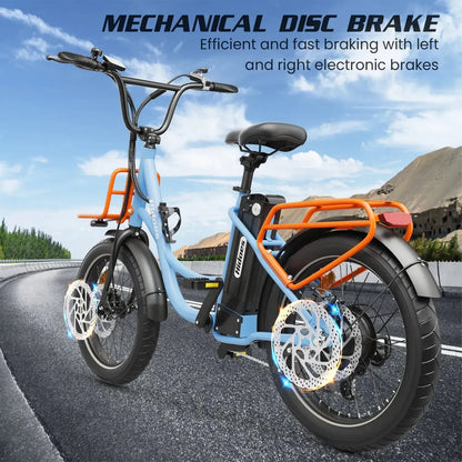 HIDOES C6 Folding Electric Bike