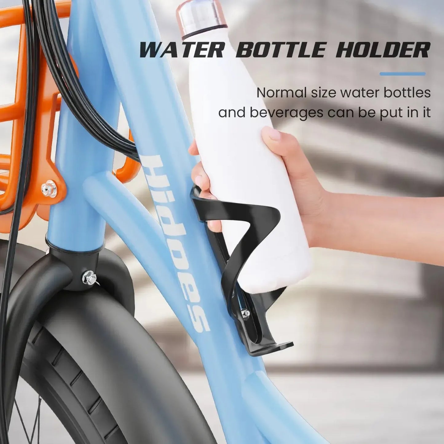 HIDOES C6 Folding Electric Bike