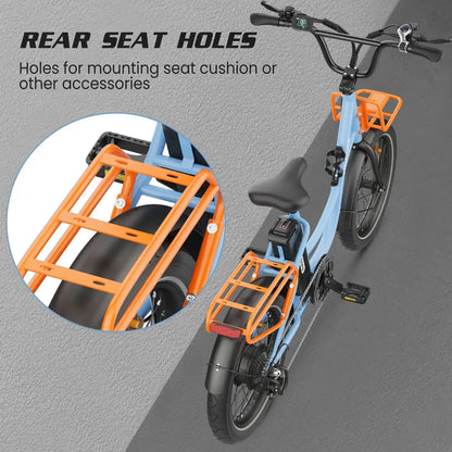 HIDOES C6 Folding Electric Bike
