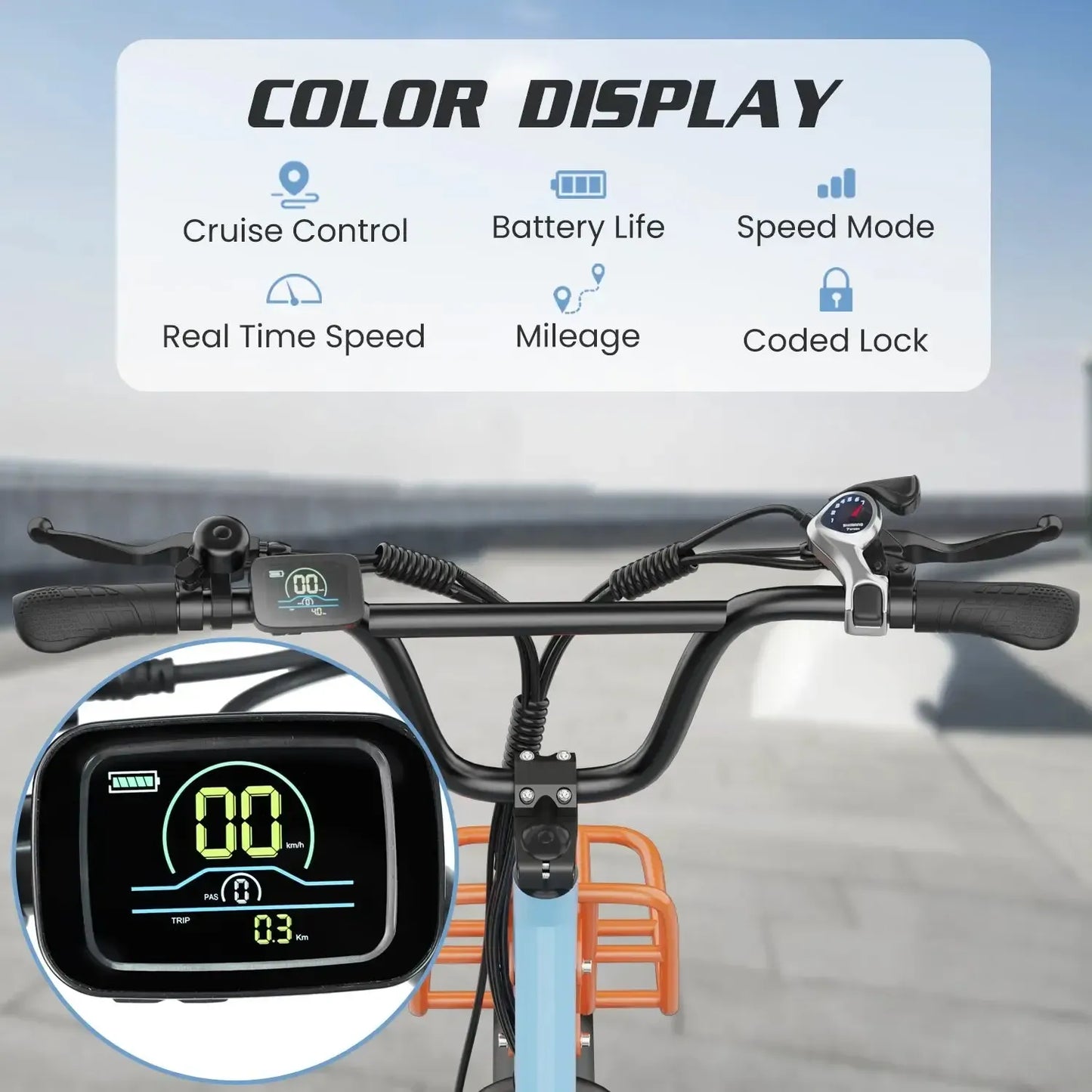 HIDOES C6 Folding Electric Bike