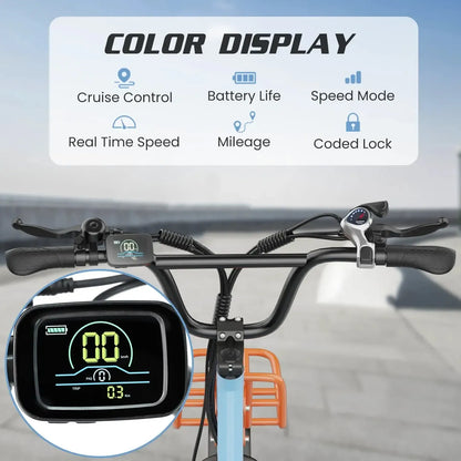 HIDOES C6 Folding Electric Bike