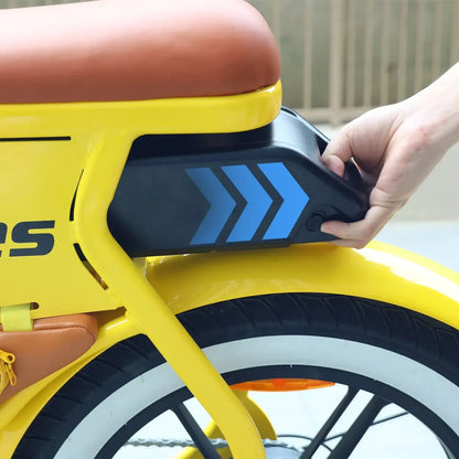 HIDOES C8 Step-Thru Electric Bike
