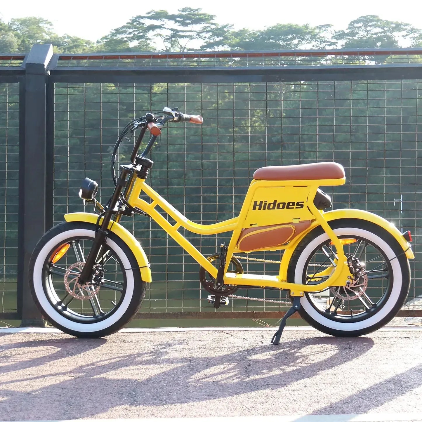 HIDOES C8 Step-Thru Electric Bike
