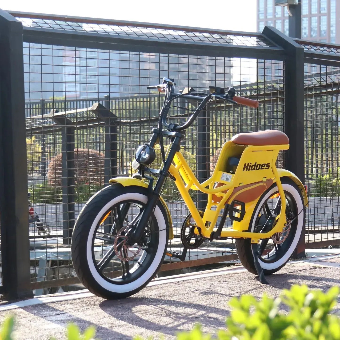 HIDOES C8 Step-Thru Electric Bike