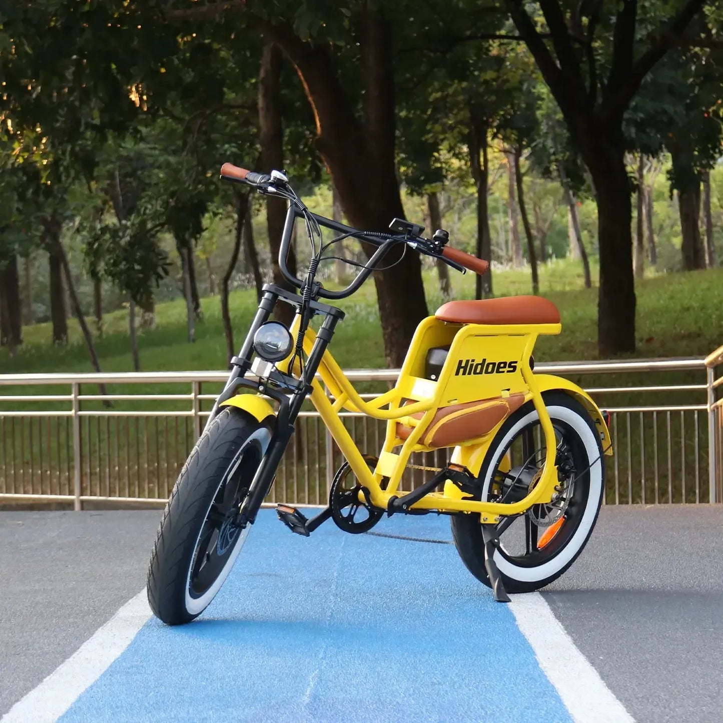 HIDOES C8 Step-Thru Electric Bike