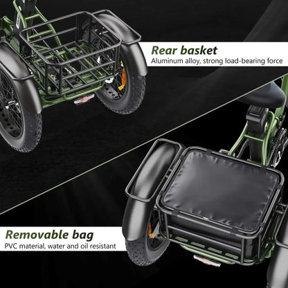 HIDOES ET1 Electric Bike Tricycle