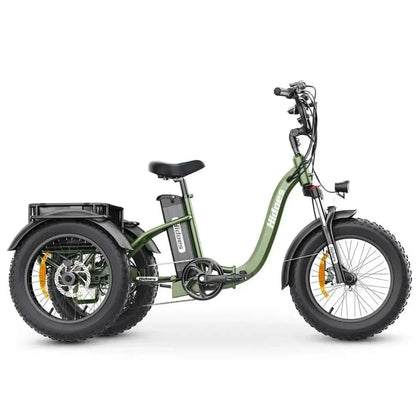 HIDOES ET1 Electric Bike Tricycle