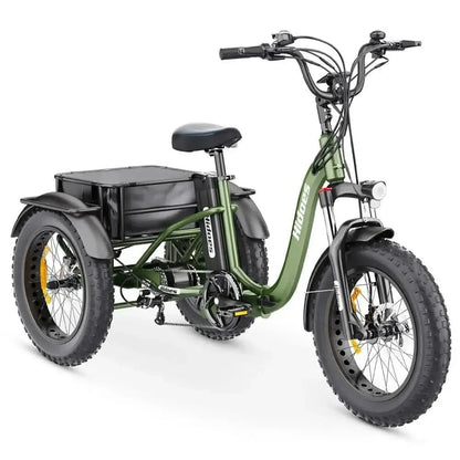 HIDOES ET1 Electric Bike Tricycle