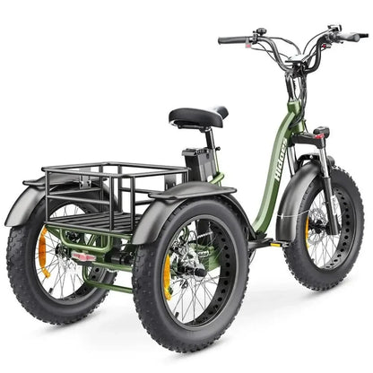 HIDOES ET1 Electric Bike Tricycle