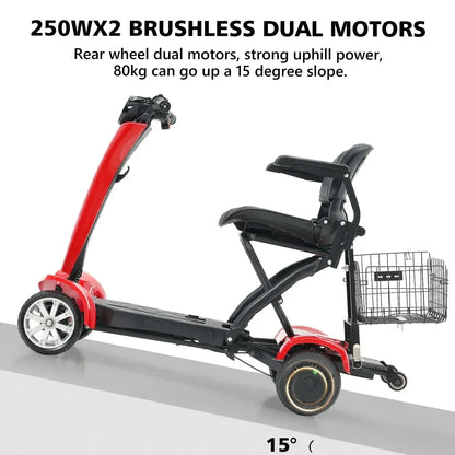 HIDOES P1 Electric Scooter