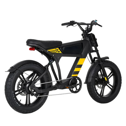 MANGOSTEEN FT03 Electric Bike