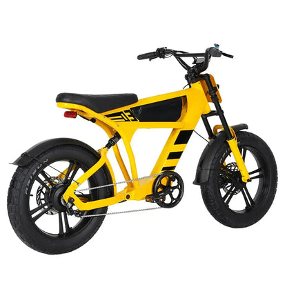 MANGOSTEEN FT03 Electric Bike