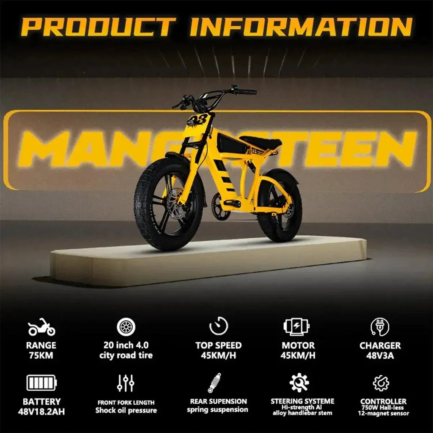 MANGOSTEEN FT03 Electric Bike
