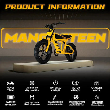 MANGOSTEEN FT03 Electric Bike
