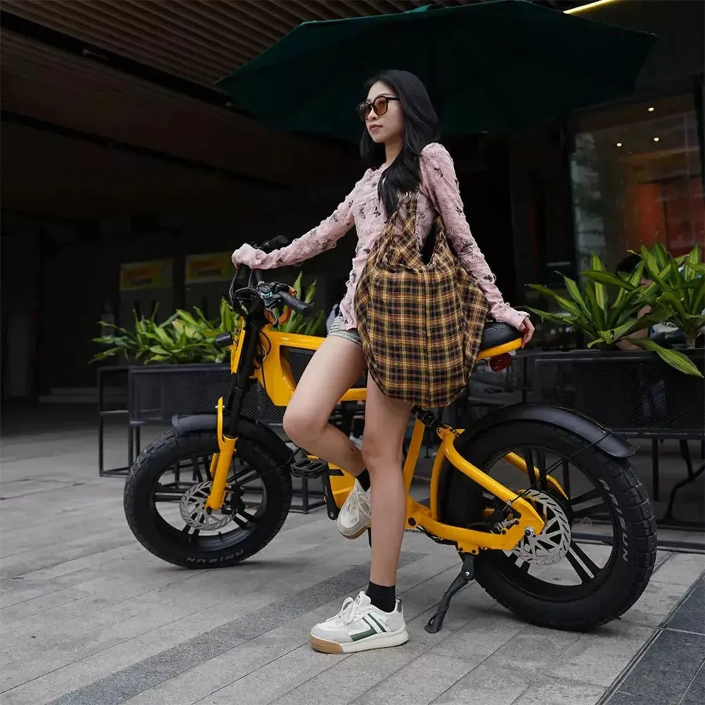 MANGOSTEEN FT03 Electric Bike