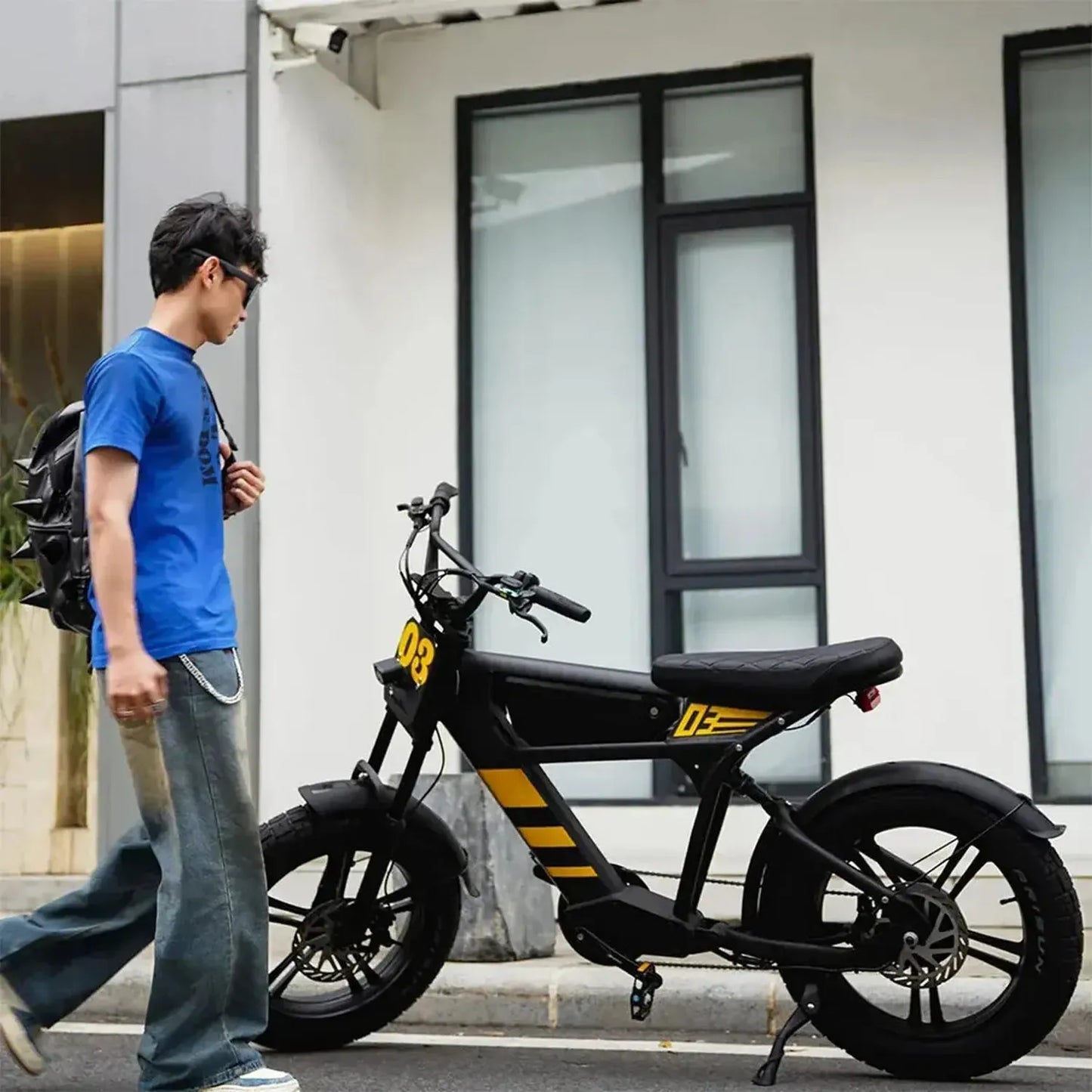 MANGOSTEEN FT03 Electric Bike