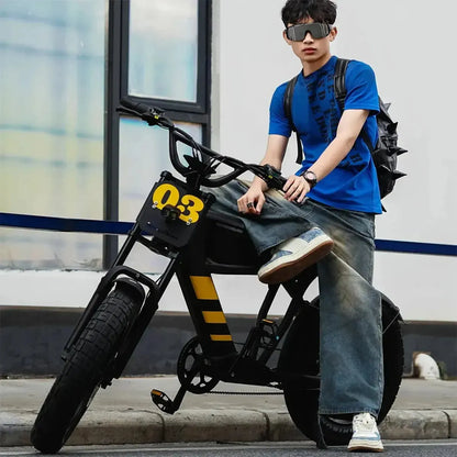 MANGOSTEEN FT03 Electric Bike