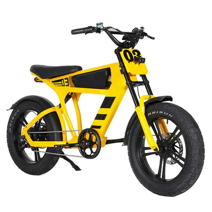 MANGOSTEEN FT03 Electric Bike