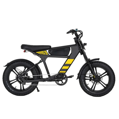 MANGOSTEEN FT03 Electric Bike