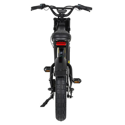 MANGOSTEEN FT03 Electric Bike