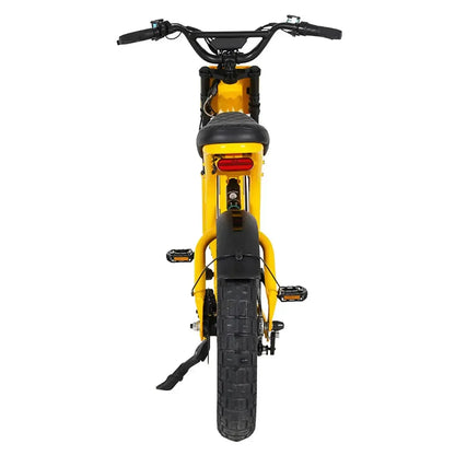 MANGOSTEEN FT03 Electric Bike