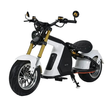 MANGOSTEEN M8S Electric Bike