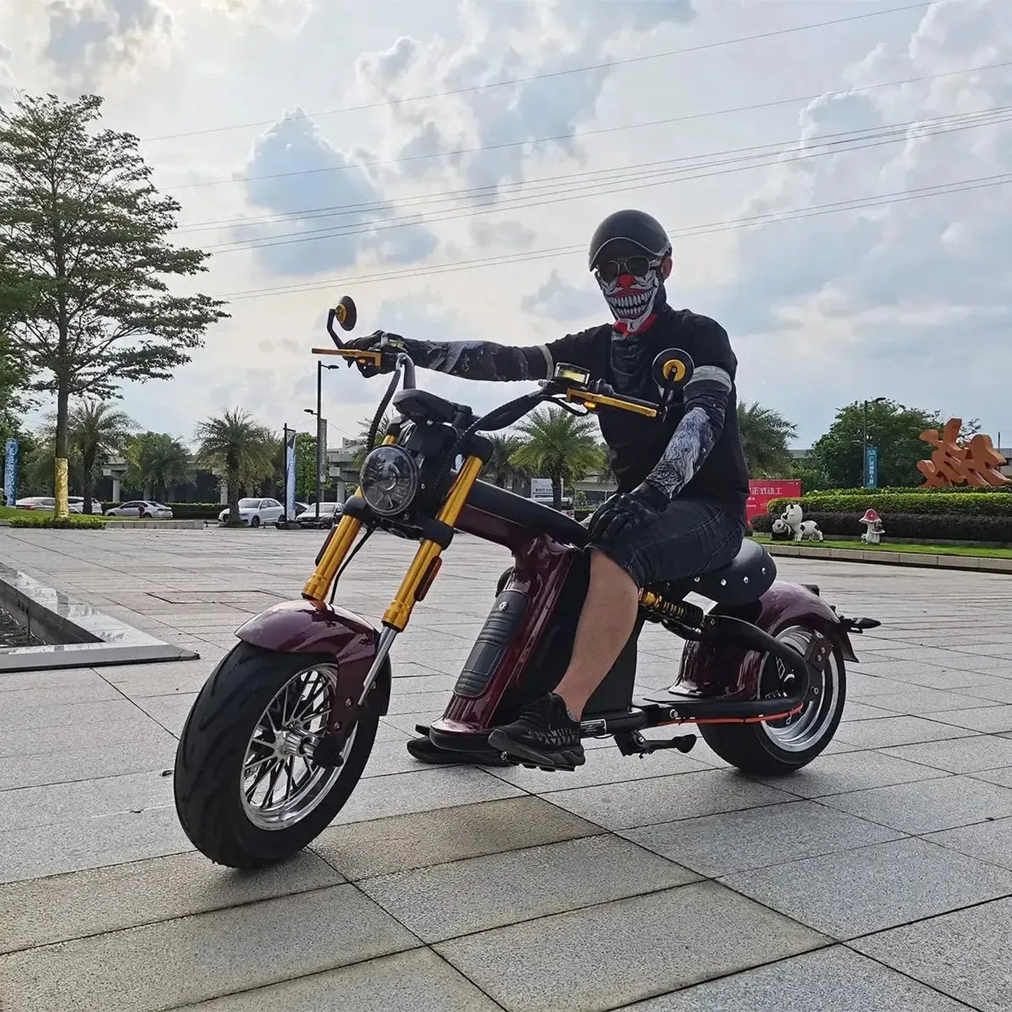 MANGOSTEEN M8S Electric Bike