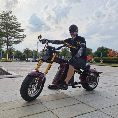 MANGOSTEEN M8S Electric Bike