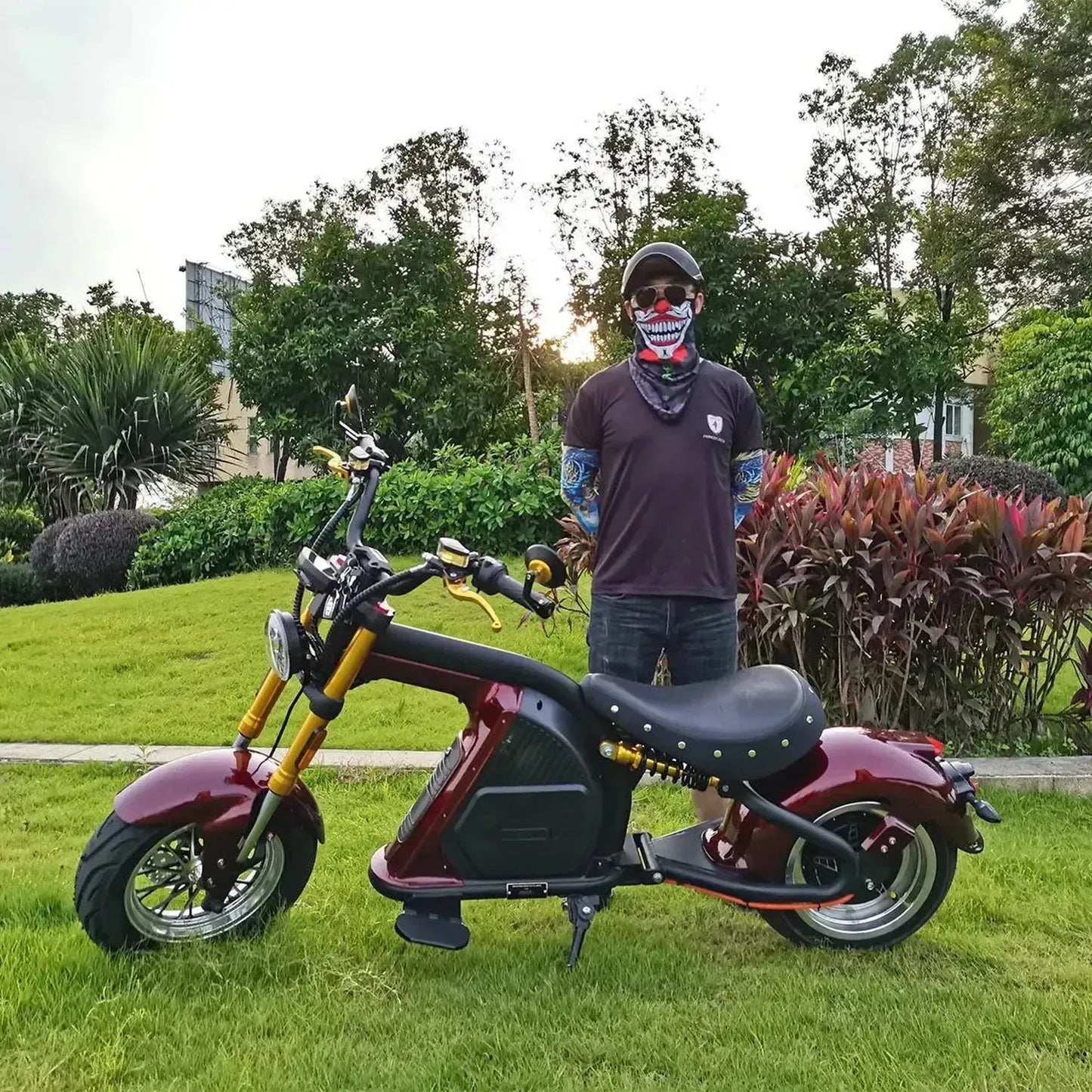 MANGOSTEEN M8S Electric Bike