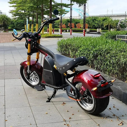 MANGOSTEEN M8S Electric Bike