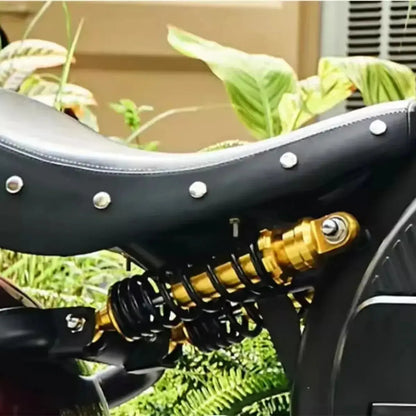 MANGOSTEEN M8S Electric Bike