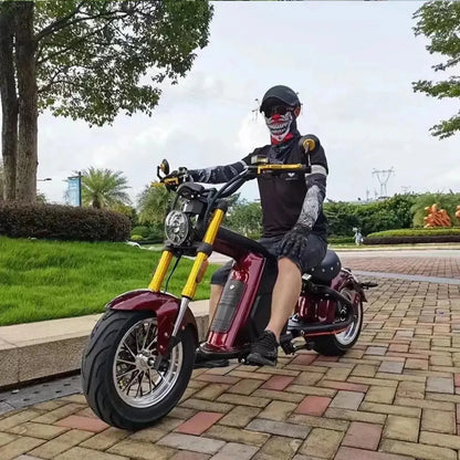 MANGOSTEEN M8S Electric Bike