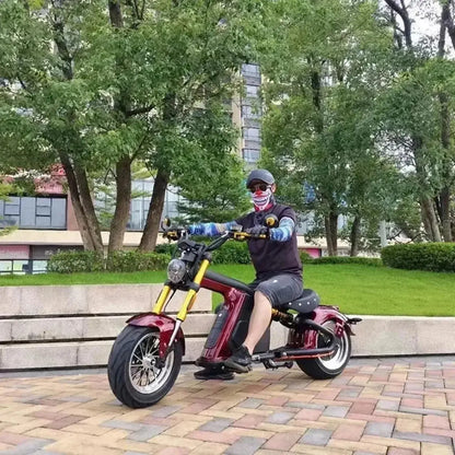 MANGOSTEEN M8S Electric Bike