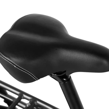 PIXAR Plus7 Electric Bike